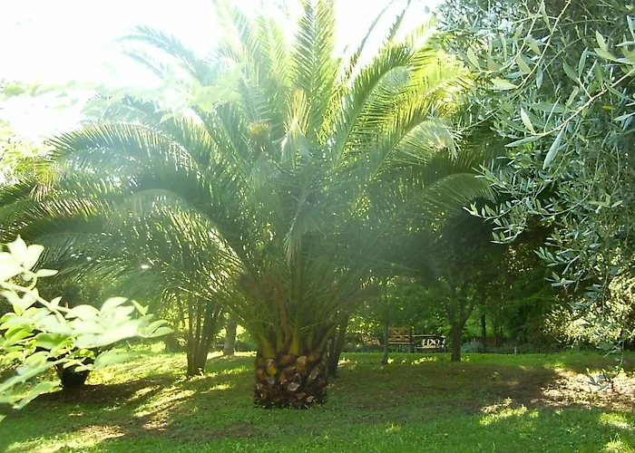 La Vecchia Quercia