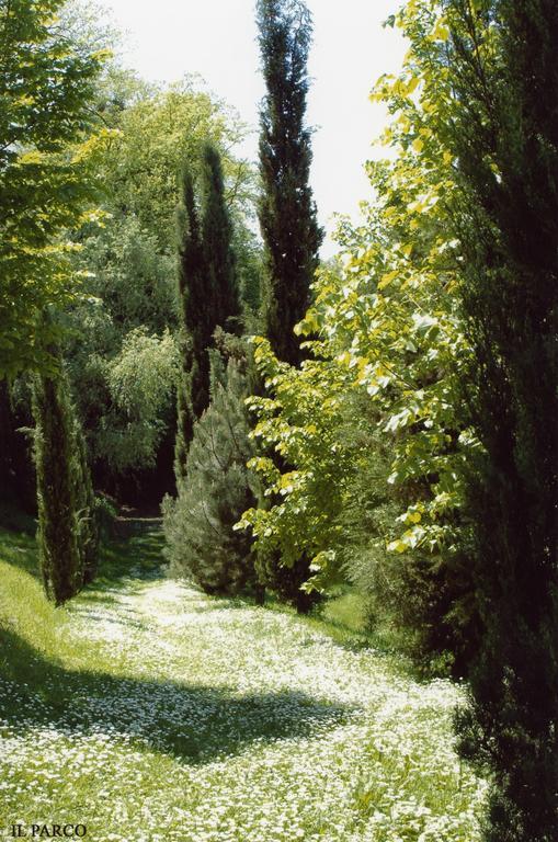 La Vecchia Quercia Selci (Lazio)